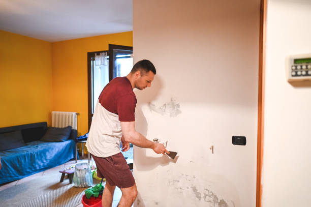 Best Black Mold Remediation in Big Pine, CA
